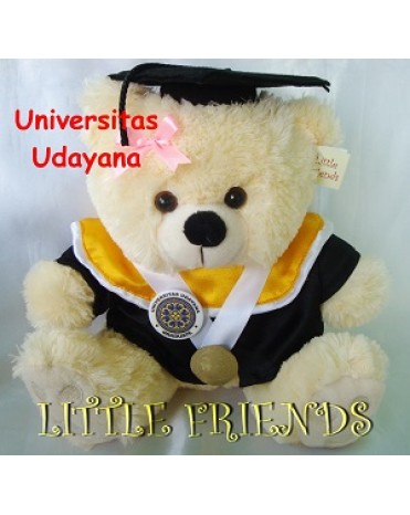 Boneka Wisuda Universitas Udayana - Matematika (30 cm)